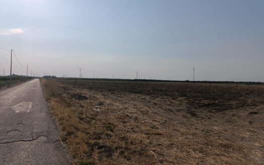 TERRENO AGRICOLO ORTA NOVA VIA DELLA DISTILLERIA