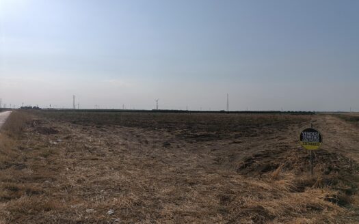 TERRENO AGRICOLO ORTA NOVA VIA DELLA DISTILLERIA