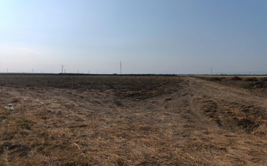TERRENO AGRICOLO ORTA NOVA VIA DELLA DISTILLERIA